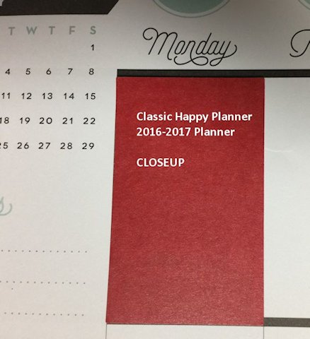 Happy Planner Classic Punch- 