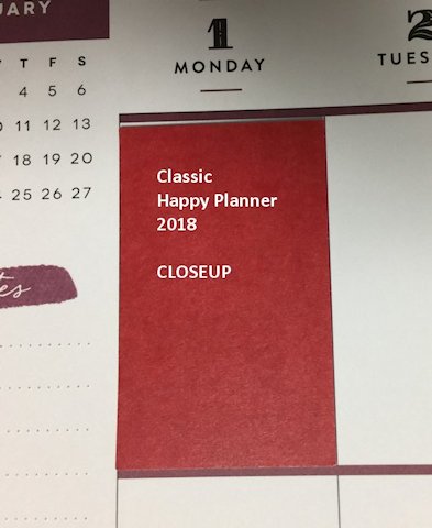 Happy Planner Classic Punch- 